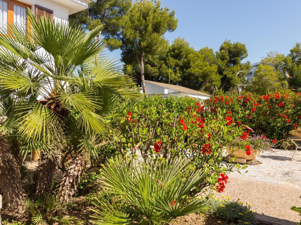 Hébergement de vacances Pinar