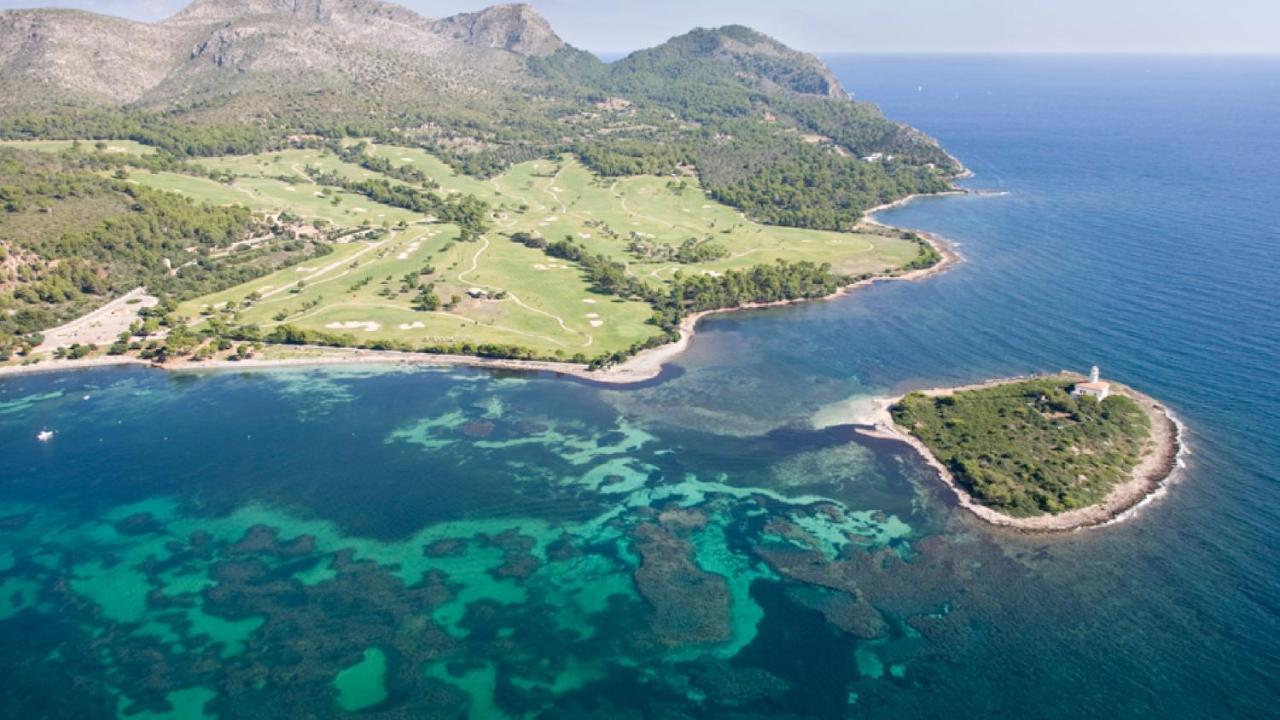 Pinar Port d'Alcúdia
