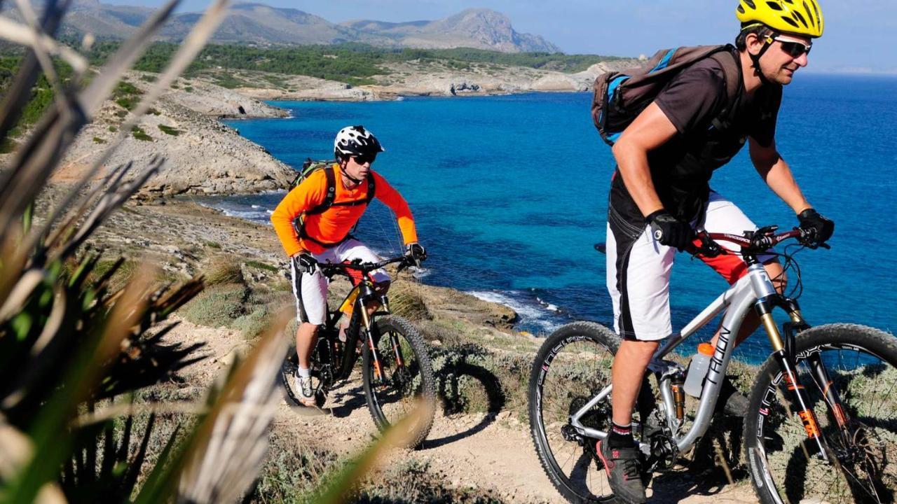 Pinar Port d'Alcúdia